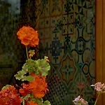 Ayur Garden * Lanckorona