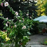 Ayur Garden ファームステイ
