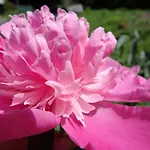 Ayur Garden * Lanckorona