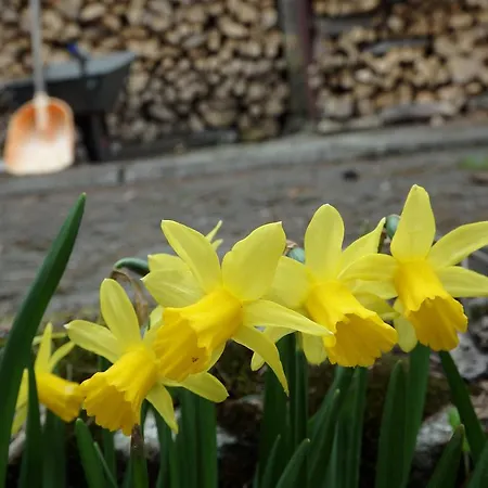 Ayur Garden Peaceful Forest Retreat In Lanckorona Lanckorona