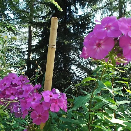 Ayur Garden Peaceful Forest Retreat In Vakantieboerderij Lanckorona