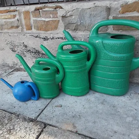 Leśny Ogród Gospodarstwo agroturystyczne