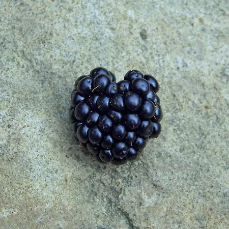 Ayur Garden Peaceful Forest Retreat In Lanckorona *