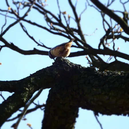 Ayur Garden Peaceful Forest Retreat In * Lanckorona