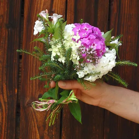 Ayur Garden Peaceful Forest Retreat In Lanckorona Lanckorona